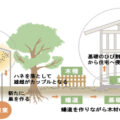 沖縄の木造住宅のシロアリ対策とは？
