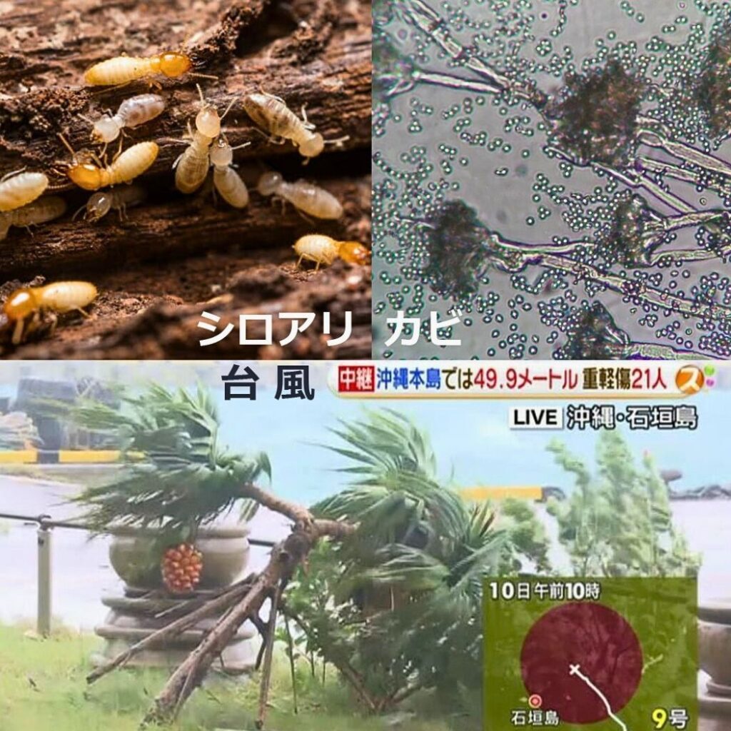 沖縄にふさわしい長期優良住宅とは